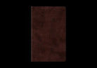 Cover image for ESV Thinline Bible (Trutone, Espresso), isbn: 9798874903541