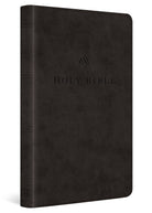 Cover image for ESV Premium Church Bible, Large Print, Red Letter (Trutone, Black), isbn: 9798874904043
