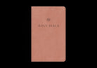 Cover image for ESV Premium Church Bible, Large Print, Red Letter (Trutone, Blush Rose), isbn: 9798874904050
