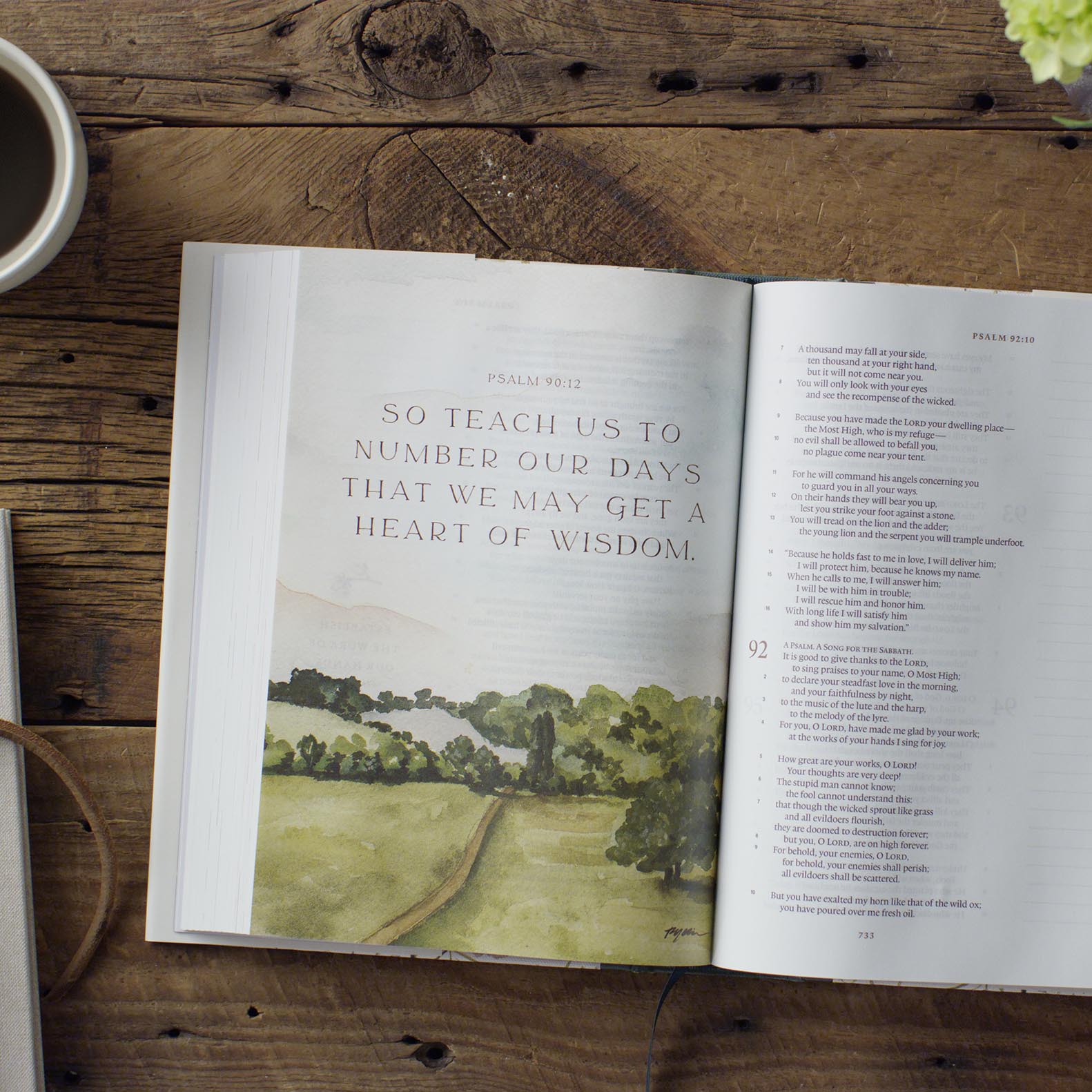An interior image of the Gracelaced Bible, featuring an artwork of Psalm 90:12 "So teach us to number our days that we may get a heart of wisdom." Below, a watercolor image of a brown dirt path winds away into the horizon of green trees.