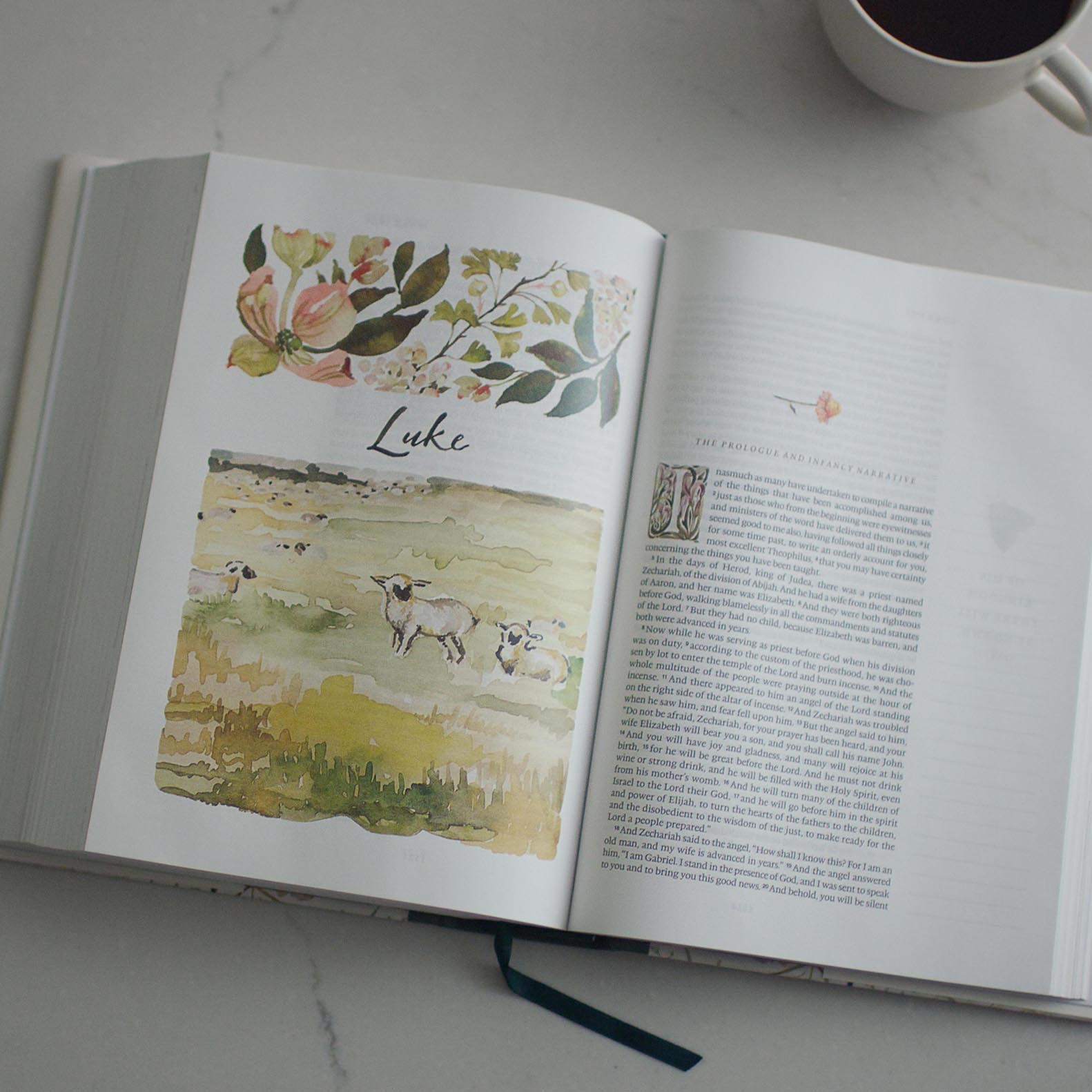 An interior image of the GraceLaced Bible, looking at the first page of Luke. A watercolor image of white and black sheep dot a serene meadow.