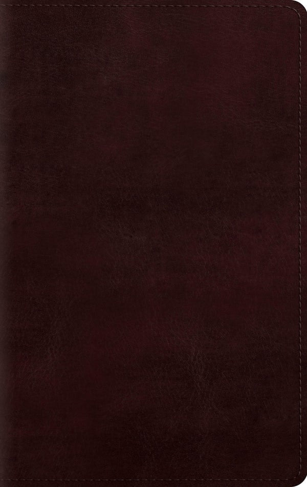 Cover image for ESV Giant Print Personal Size Bible, Red Letter (Trutone, Mahogany), isbn: 9798874906573