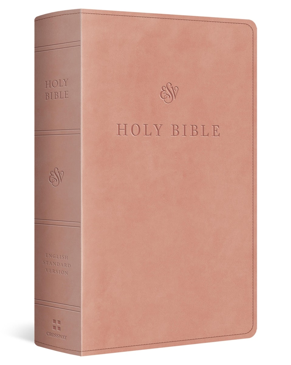 Cover image for ESV Giant Print Personal Size Bible, Red Letter (Trutone, Blush Rose), isbn: 9798874906641