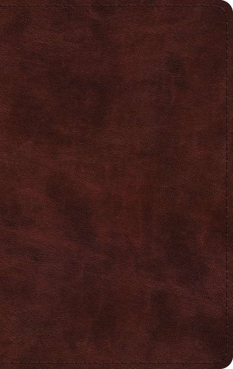 Cover image for ESV Large Print Thinline Bible (Trutone, Mahogany), isbn: 9798874906719