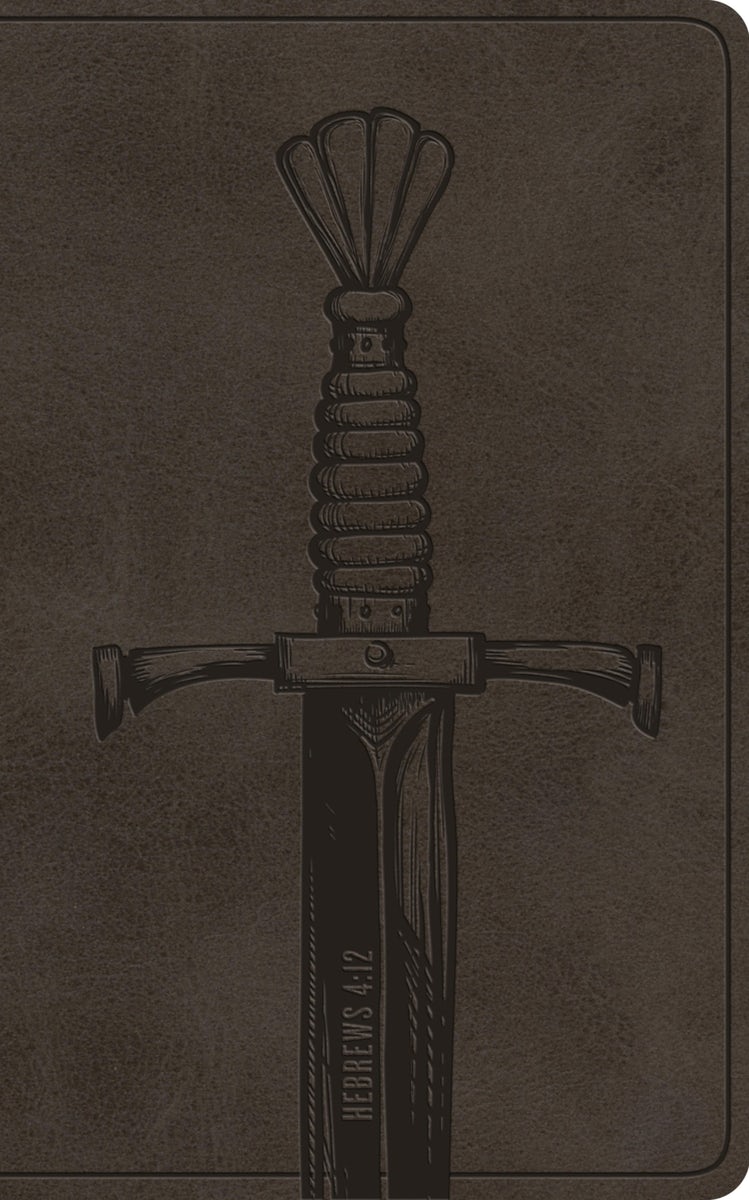 Cover image for ESV Vest Pocket New Testament with Psalms and Proverbs, Red Letter (Trutone, Silver, Sword Design), isbn: 9798874907402