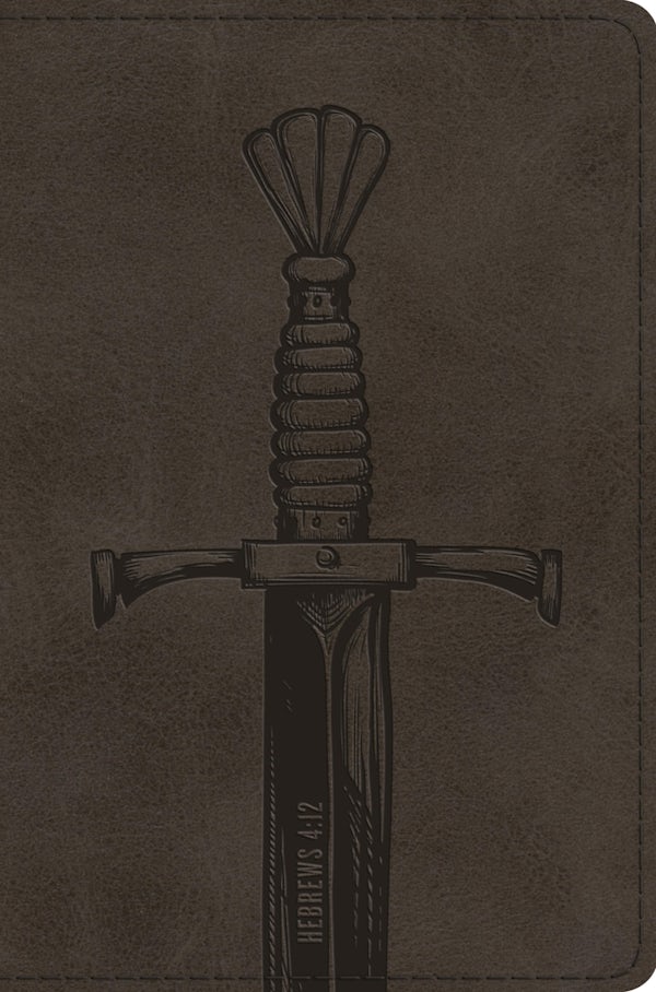 Cover image for ESV Compact Bible (Trutone, Silver, Sword Design), isbn: 9798874907464