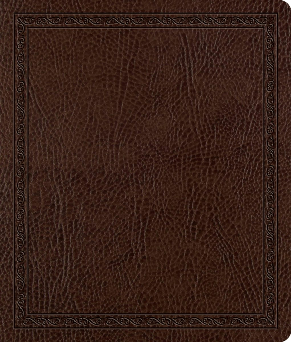 Cover image for ESV Journaling Bible (Bonded Leather, Mocha, Threshold Design), isbn: 9798874907594