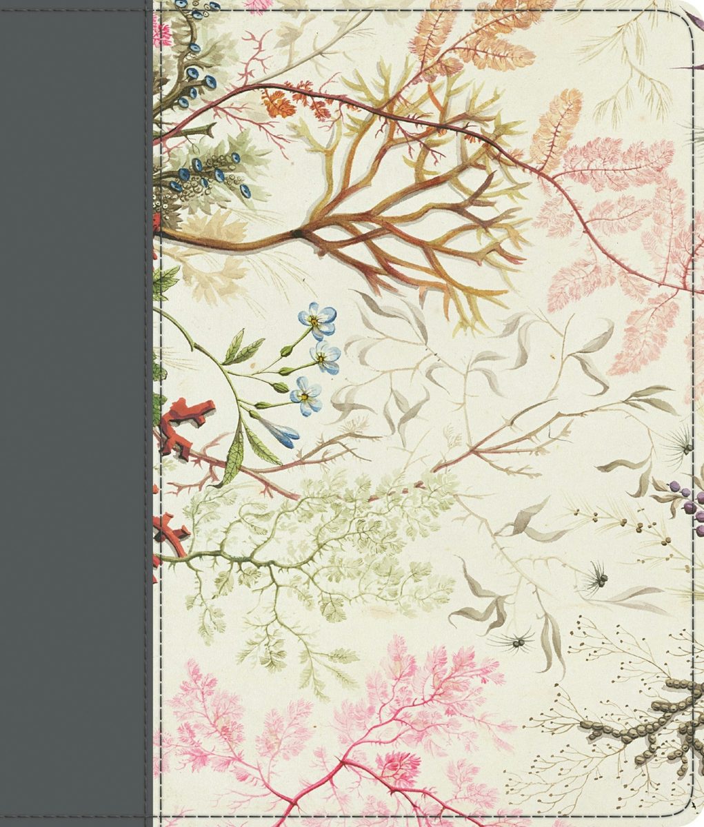 Cover image for ESV Journaling Bible (Printed Trutone, Elegant Grace Design), isbn: 9798874907624