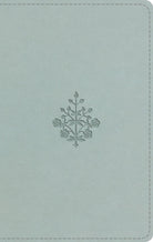 Cover image for ESV Large Print Value Thinline Bible (Trutone, River Stone, Branch Design), isbn: 9798874907754