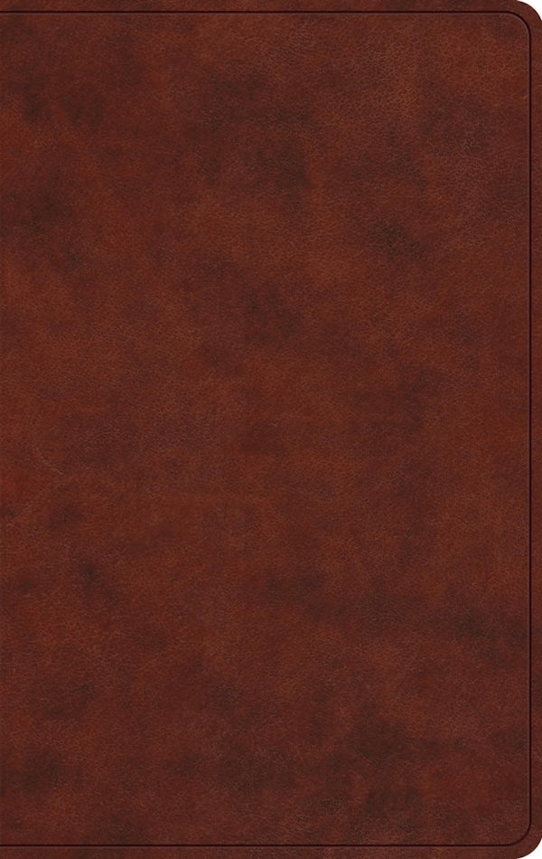 Cover image for ESV Large Print Value Thinline Bible (Trutone, Chestnut), isbn: 9798874907808