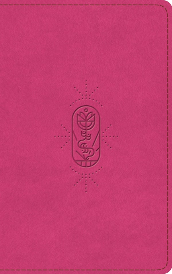 Cover image for ESV Kid's Bible, Thinline, Red Letter (Trutone, Berry, the True Vine Design), isbn: 9798874907853