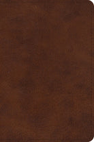 Cover image for ESV Large Print Bible (Trutone, Deep Brown), isbn: 9798874907983