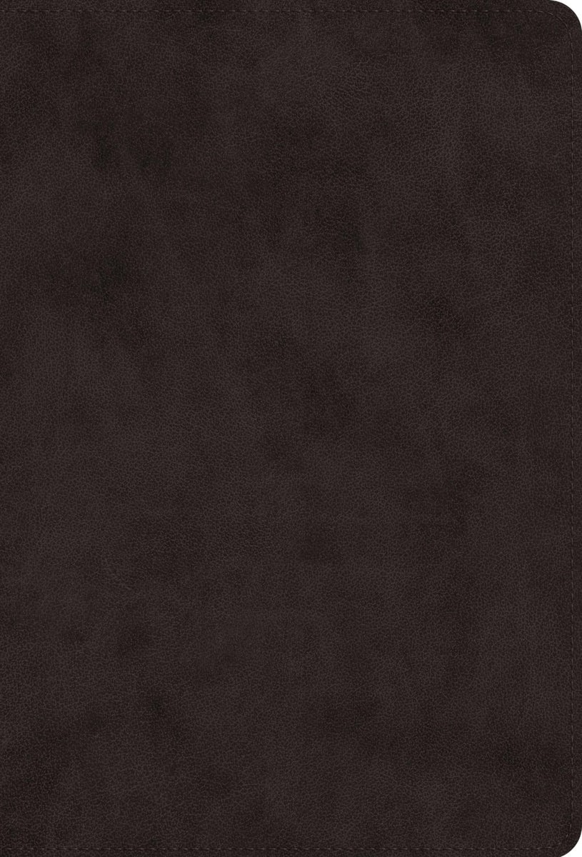 Cover image for ESV Giant Print Value Thinline Bible (Trutone, Black), isbn: 9798874908935