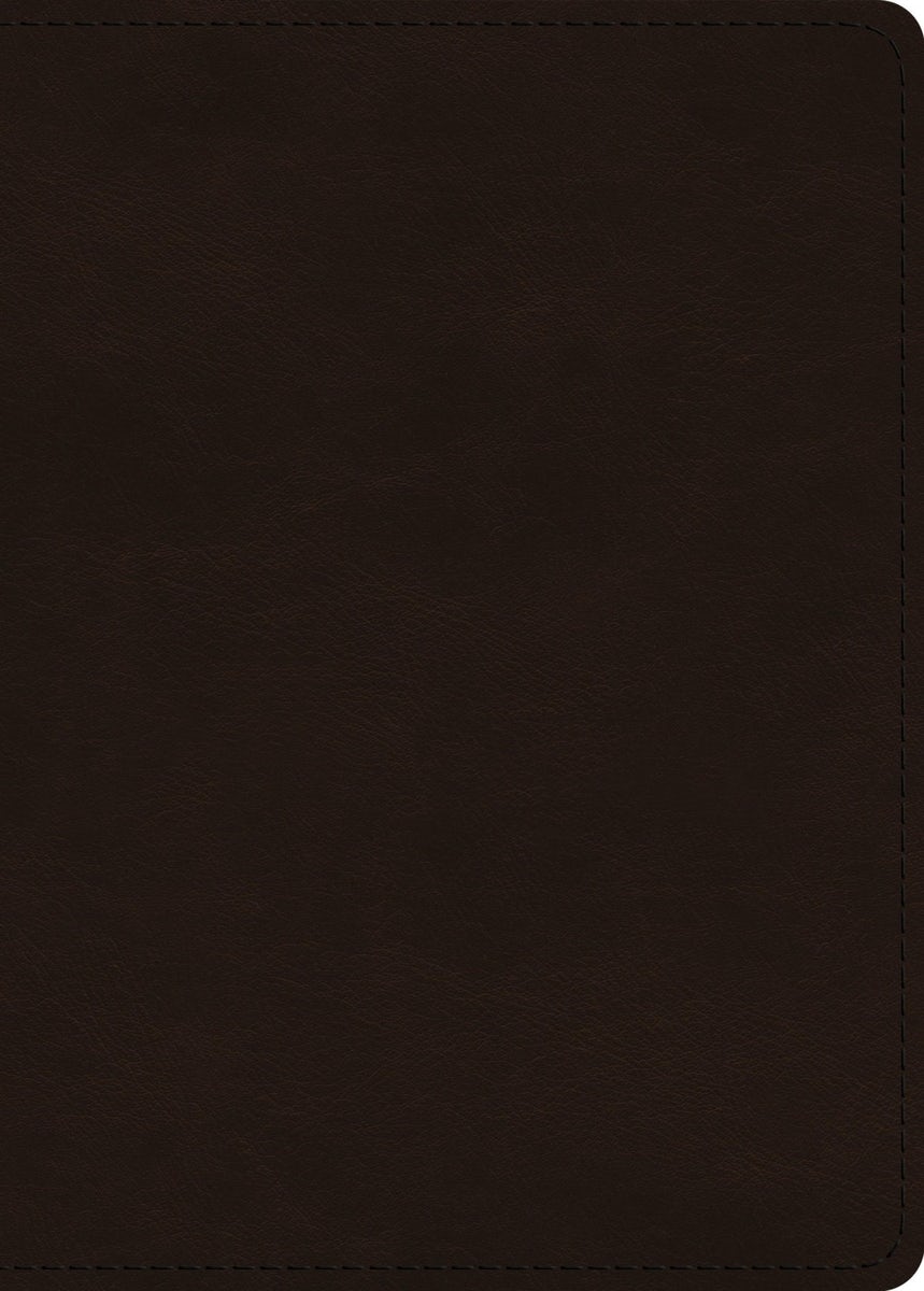 Cover image for ESV Large Print Value Personal Size Bible (Trutone, Deep Brown), isbn: 9798874908973