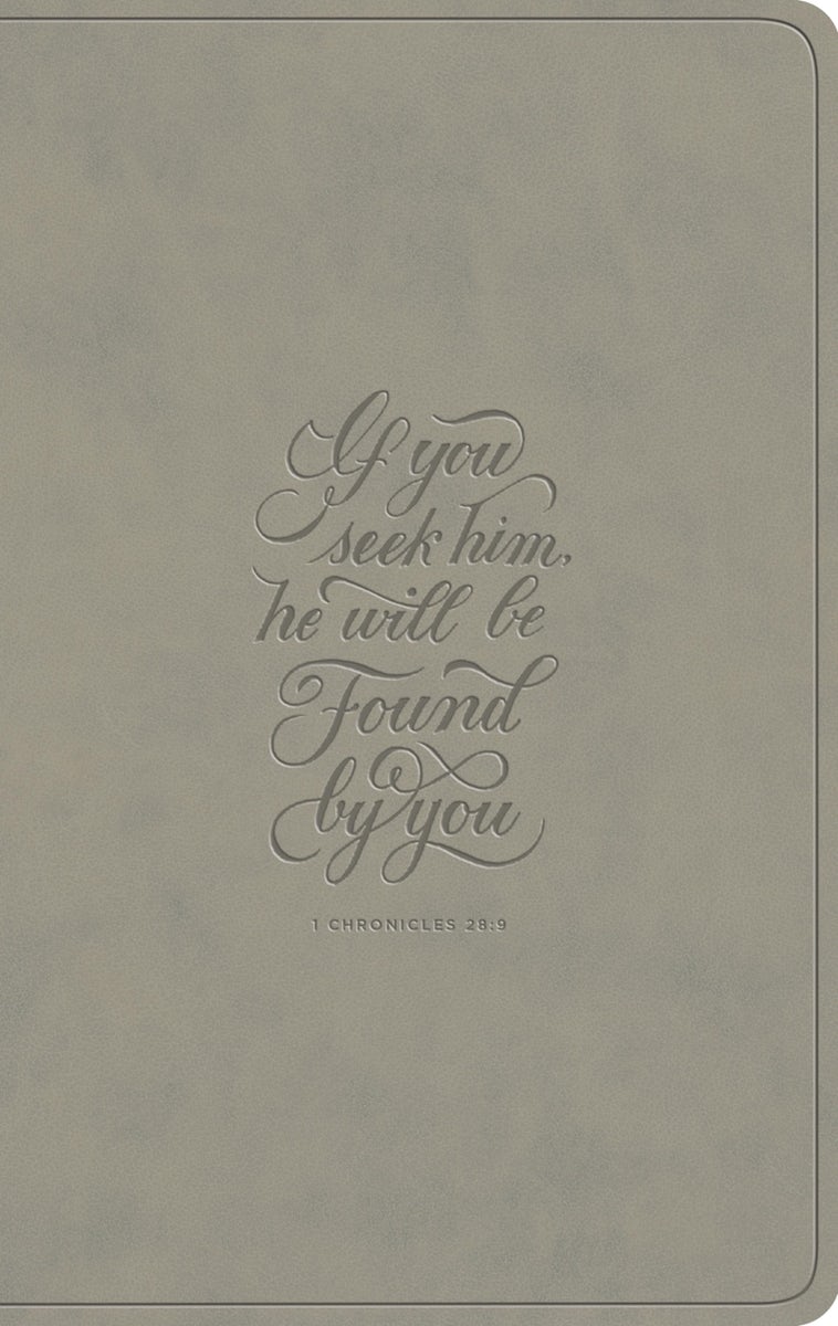 Cover image for ESV Large Print Value Thinline Bible (Trutone, Stone, 1 Chronicles 28:9 Design), isbn: 9798874909048