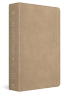 Cover image for ESV Beholding Christ Bible, isbn: 9798874911423