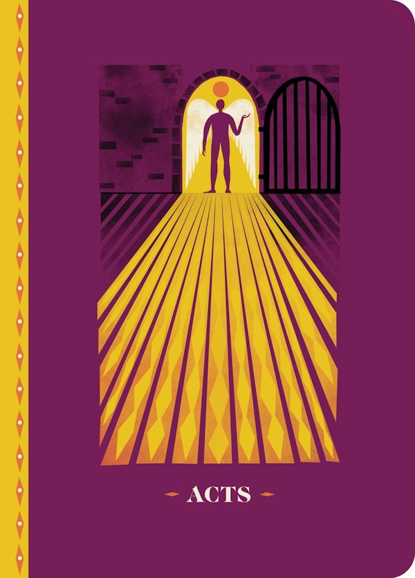 Cover image for The Biggest Story Scripture Journal for Kids, isbn: 9798874911621