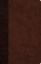 Cover image for ESV Large Print Thinline Reference Bible (Trutone, Brown/Walnut, Timeless Design), isbn: 9798874912833