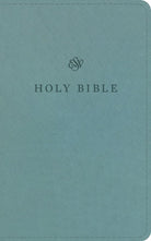 Cover image for ESV Premium Church Bible (Trutone, Paris Sky), isbn: 9798874914639