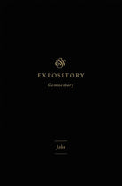 Cover image for John, isbn: 9798874914837