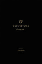 Cover image for Revelation, isbn: 9798874914844