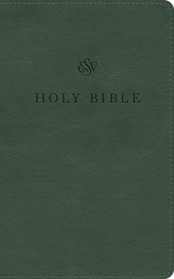 Cover image for ESV Premium Church Bible, Large Print (Trutone, Quiet Forest), isbn: 9798874915889