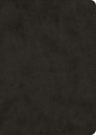 Cover image for ESV New Testament, Large Print (Trutone, Black), isbn: 9798874915919