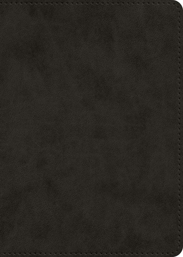 Cover image for ESV New Testament, Large Print (Trutone, Black), isbn: 9798874915919