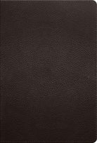 Cover image for ESV Men's Study Bible (Buffalo Leather, Deep Brown), isbn: 9798874916008