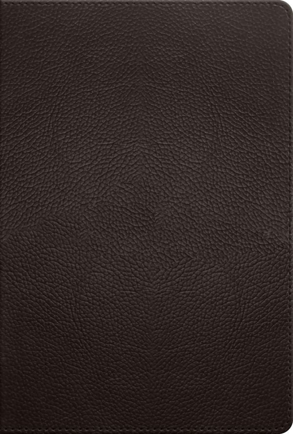 Cover image for ESV Men's Study Bible (Buffalo Leather, Deep Brown), isbn: 9798874916008