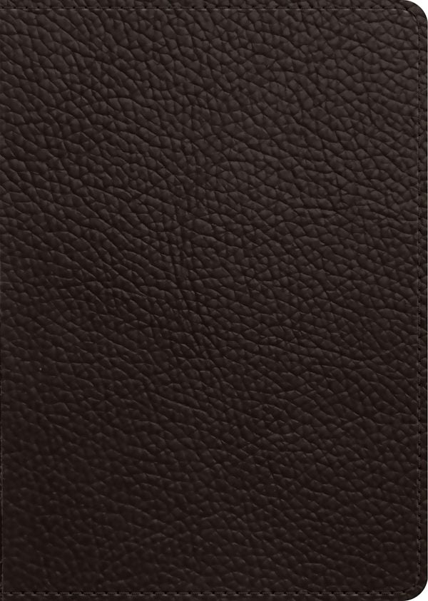 Cover image for ESV New Testament, Large Print (Buffalo Leather, Deep Brown), isbn: 9798874917159