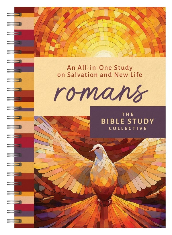 Cover image for Romans, isbn: 9798891511699