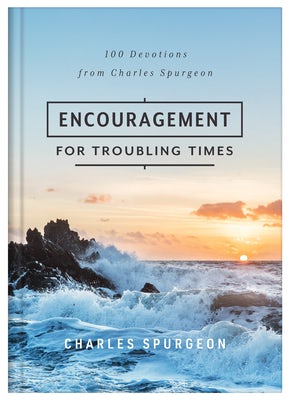 Cover image for Encouragement for Troubling Times, isbn: 9798891512337