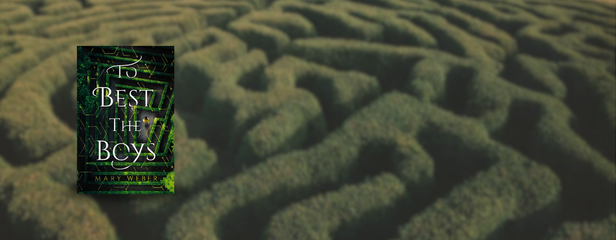 Cover of "To Best the Boys" by Mary Weber.