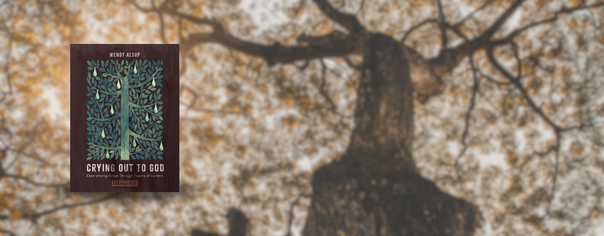 Cover of "Crying Out to God: Experiencing Grace Through Psalms of Lament (An 8-Week Bible Study Experience)" by Wendy Alsup.