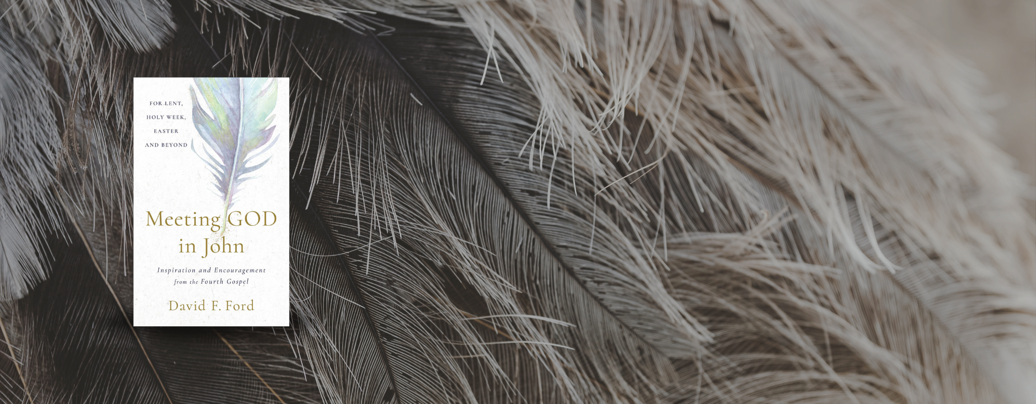 Cover of "Meeting God in John: Inspiration and Encouragement from the Fourth Gospel" by David F. Ford. Perfect for Lent, Holy Week, Easter and Beyond.