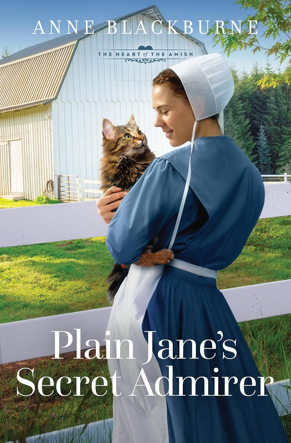 Cover of "Plain Jane's Secret Admirer (The Heart of the Amish, Book 11)" by Anne Blackburne.