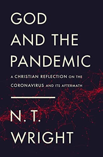 Cover image for God And The Pandemic, isbn: R978031012080