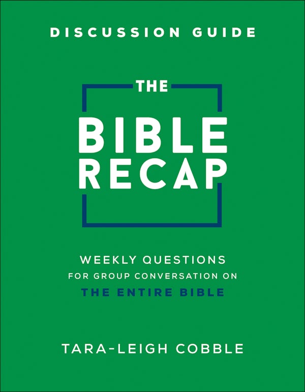 Cover image for Bible Recap Discussion Guide, isbn: R978076424148