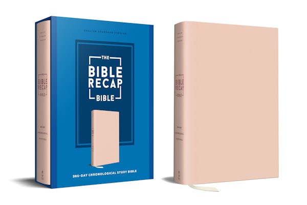 Cover image for Bible Recap Bible Esv Pink, isbn: R978076424556