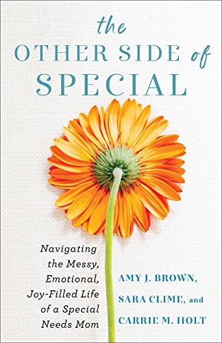 Cover image for Other Side Of Special, isbn: R978080074211