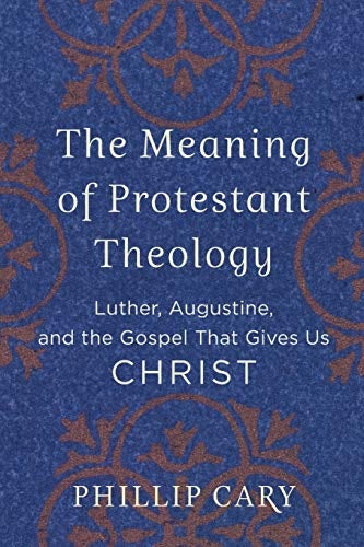 Cover image for Meaning Of Protestant Theology, isbn: R978080103945