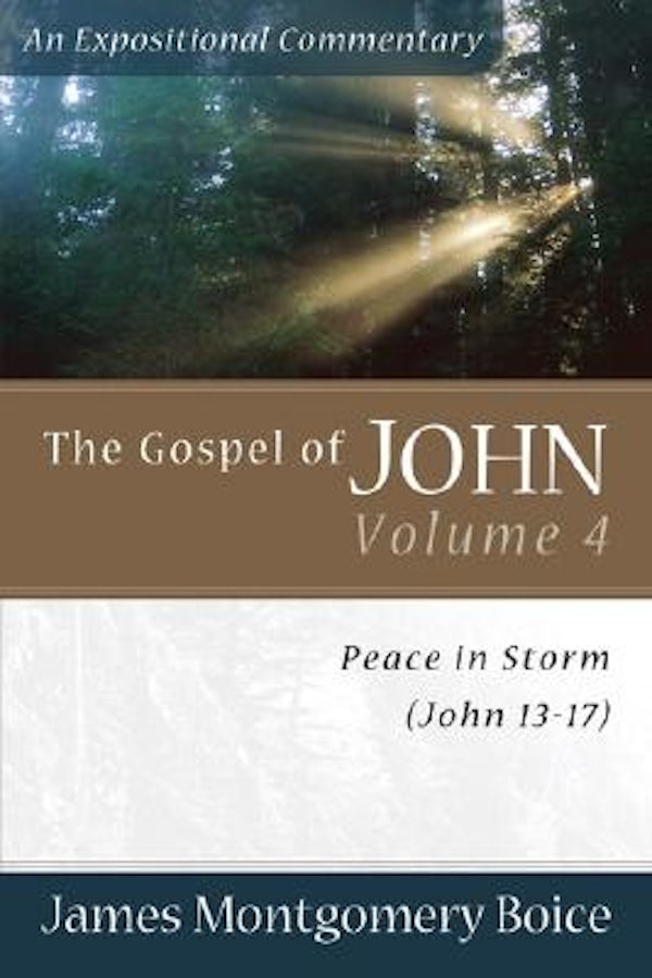 Cover image for Gospel Of John Vol. 4, isbn: R978080106587