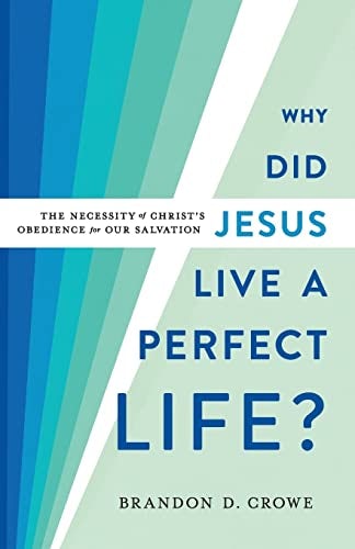 Cover image for Why Did Jesus Live The Perfect Life, isbn: R978154096250