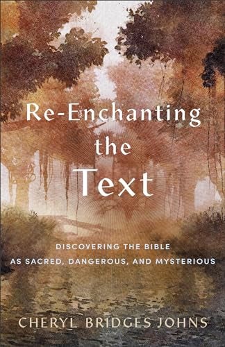 Cover image for Re-Enchanting The Text, isbn: R978154096513