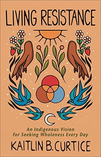 Cover image for Living Resistance, isbn: R978158743571