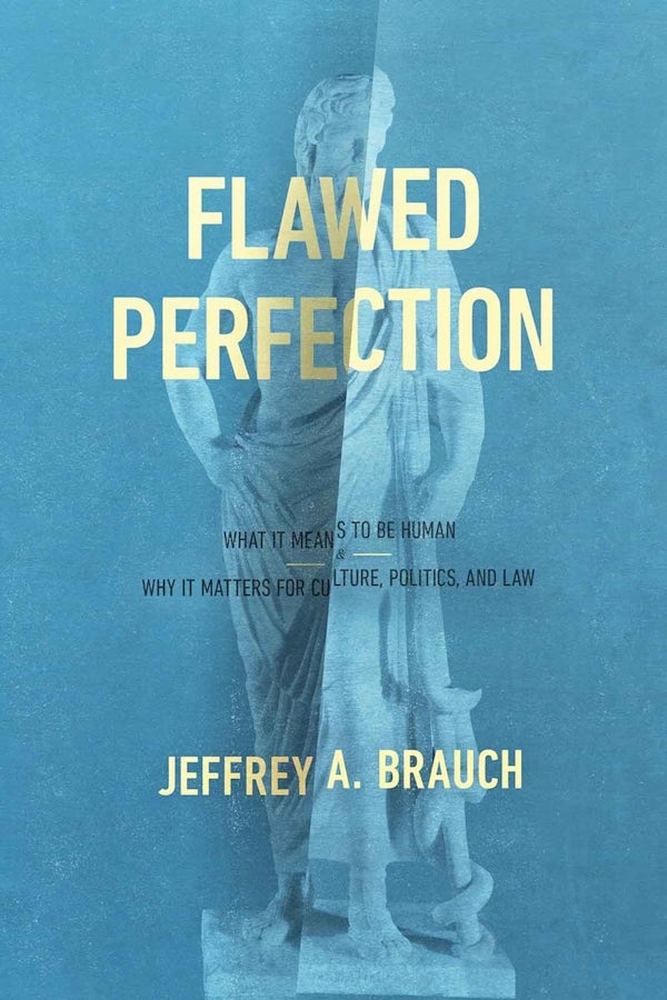 Cover image for Flawed Perfection, isbn: R978168359024