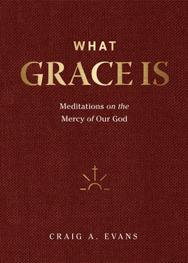 Cover image for What Grace Is, isbn: R978168359637